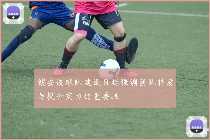 锡安谈球队建设目标强调团队特质与提升实力的重要性